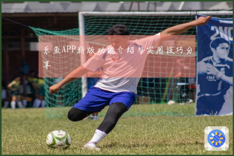乐鱼APP新版功能介绍与实用技巧分享