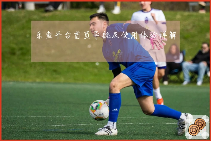 乐鱼平台首页导航及使用体验详解