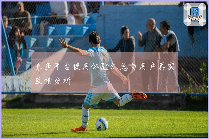 乐鱼平台使用体验汇总与用户真实反馈分析