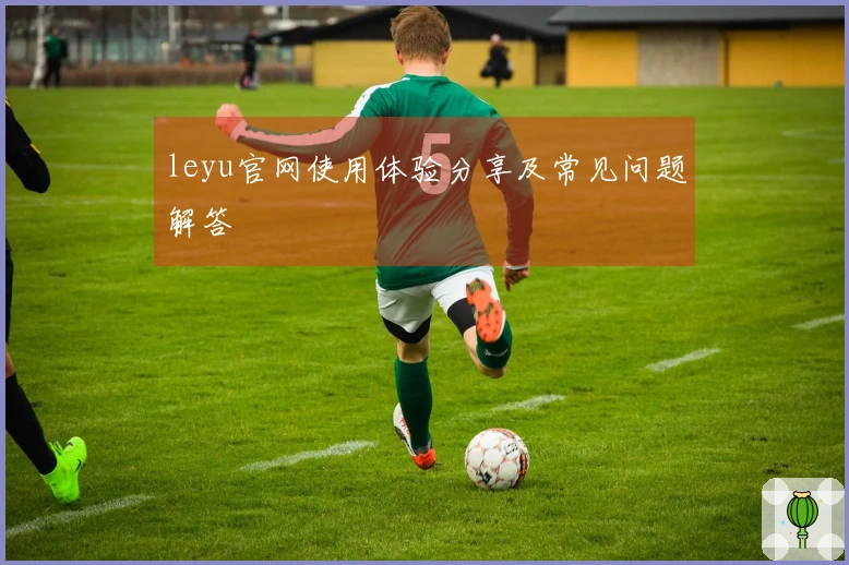 leyu官网使用体验分享及常见问题解答