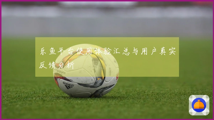 乐鱼平台使用体验汇总与用户真实反馈分析