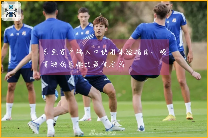 乐鱼客户端入口使用体验指南，畅享游戏乐趣的最佳方式